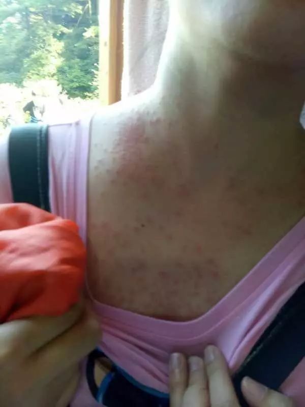 ʮһ����ͨ��������